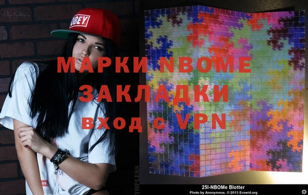 бошки Няндома