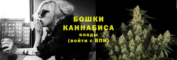 бошки Няндома