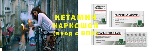 бошки Няндома