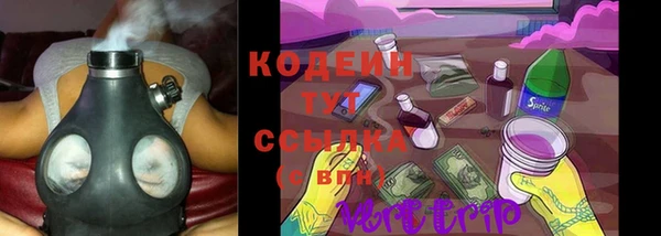 бошки Няндома